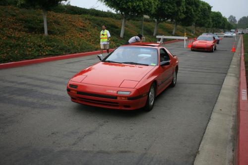 IMG 4510
