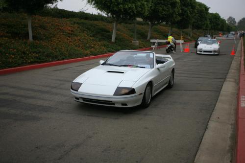 IMG 4517