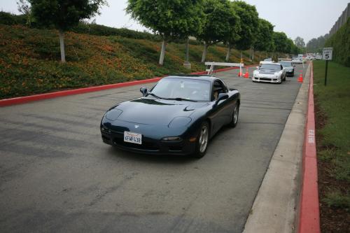 IMG 4533