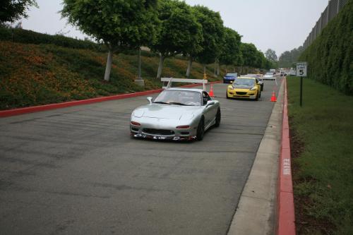 IMG 4537
