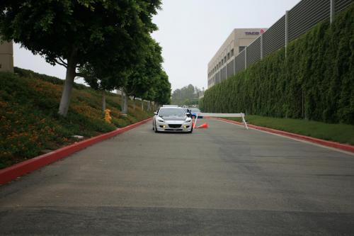 IMG 4545