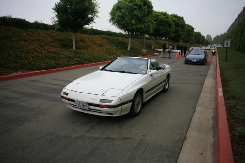 IMG 4552