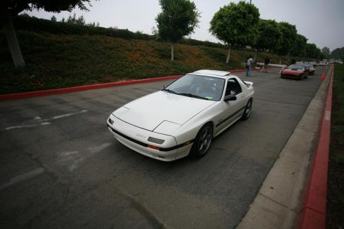 IMG 4557