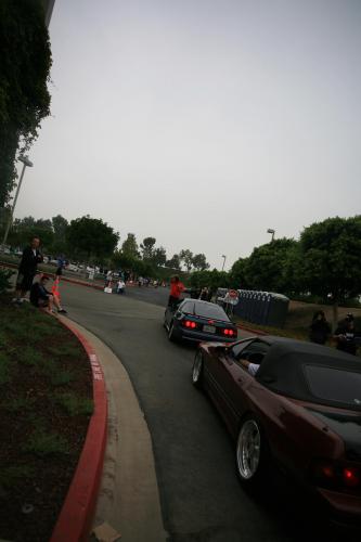 IMG 4568