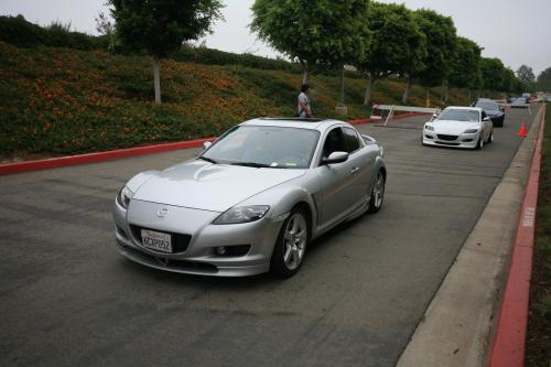 IMG 4591