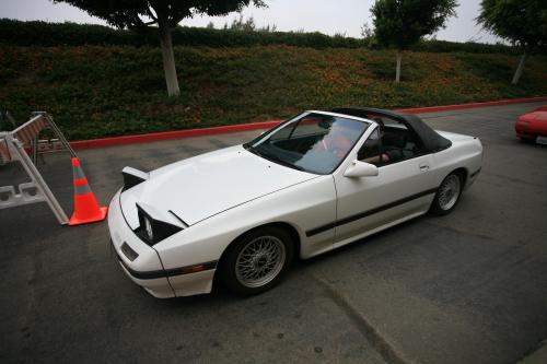 IMG 4625