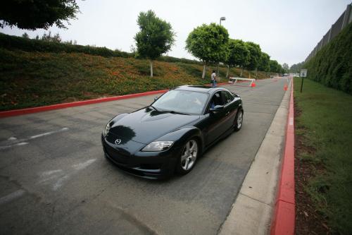 IMG 4656