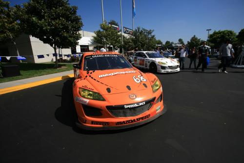 IMG 4716
