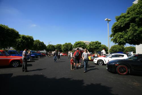 IMG 4737