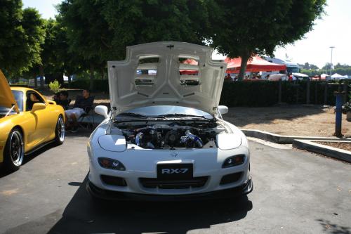 IMG 4738