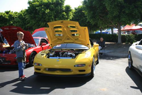 IMG 4739