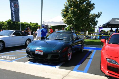 IMG 4768