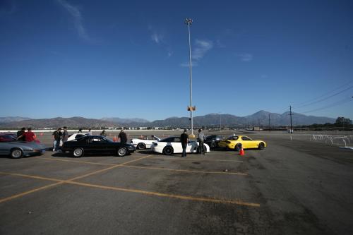 IMG 7297