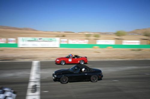IMG 9099